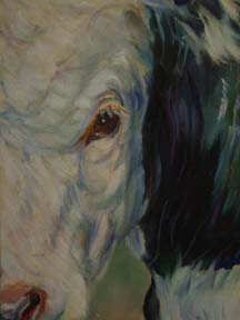 cow closeup oil painting